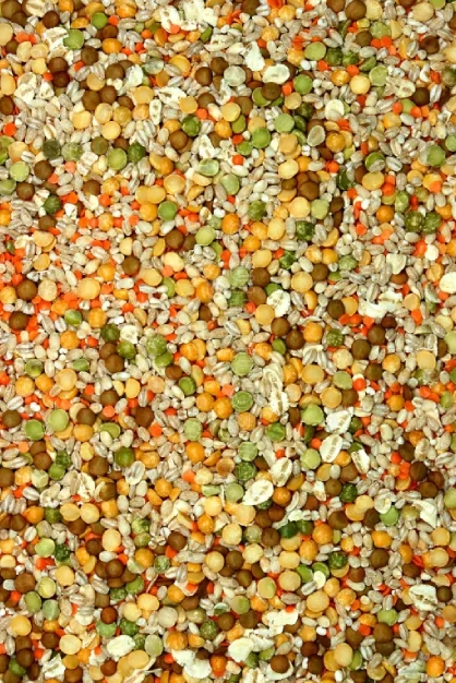 Pulses